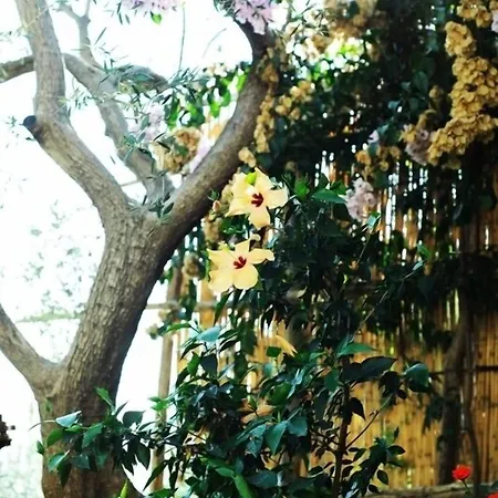 Rina 酒店 阿马尔菲